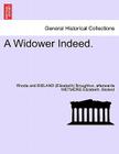 A Widower Indeed. By Rhoda Broughton, Afterwards Wetmore Elizabeth Bisland Cover Image