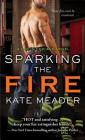 Sparking the Fire (Hot in Chicago) By Kate Meader Cover Image