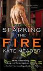 Sparking the Fire (Hot in Chicago) Cover Image