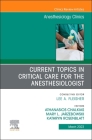 Current Topics in Critical Care for the Anesthesiologist, an Issue of Anesthesiology Clinics: Volume 41-1 (Clinics: Internal Medicine #41) Cover Image
