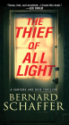The Thief of All Light (A Santero and Rein Thriller #1) Cover Image