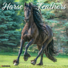 Horse Feathers 2024 12 X 12 Wall Calendar Cover Image