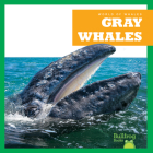 Gray Whales By Eliza Leahy, N/A (Illustrator) Cover Image