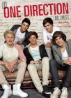 One Direction: No Limits Cover Image