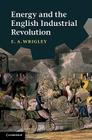 Energy and the English Industrial Revolution Cover Image