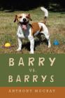 Barry Vs. Barrys By Anthony McCray Cover Image
