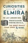 Curiosities of Elmira: The Last Labrador Duck, Professor Smokeball, the Great Female Crime Spree & More Cover Image