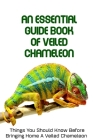 An Essential Guide Book Of Veiled Chameleon Things You Should Know Before Bringing Home A Veiled Chameleon: Chameleon Handbook Cover Image