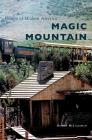 Magic Mountain By Robert McLaughlin Cover Image