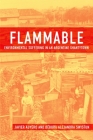 Flammable: Environmental Suffering in an Argentine Shantytown By Javier Auyero, Debora Alejandra Swistun (With) Cover Image