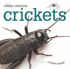 Crickets (Creepy Creatures (Creative Education)) By Valerie Bodden Cover Image
