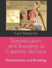 Domestication and Breeding of Capparis decidua: Domestication and Breeding Cover Image