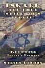 Israel, Are They Still God's People? By Steven Denoon Cover Image