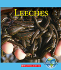 Leeches (Nature's Children) (Nature's Children, Third Series) By Katie Marsico Cover Image