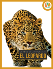 Leopardo By Julie and David Lavender Cover Image