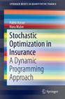 Stochastic Optimization in Insurance: A Dynamic Programming Approach (Springerbriefs in Quantitative Finance) Cover Image