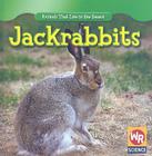Jackrabbits (Animals That Live in the Desert (Second Edition)) By JoAnn Early Macken Cover Image