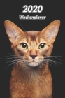 2020 Wochenplaner: Abessinierkatze 107 Seiten, 15cm x 23cm ca. A5 Taschenkalender Terminplaner Tagebuch Terminkalender Organizer für Katz By Katzentagebuch Welpentagebuch Xlpress Cover Image