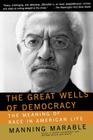 The Great Wells Of Democracy: The Meaning Of Race In American Life Cover Image