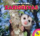 Zarigueyas, With Code (Animales en Mi Patio) Cover Image