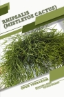 Rhipsalis (Mistletoe Cactus): Open terrarium, Beginner's Guide By Tetiana Sabanen Cover Image