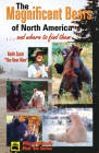 Magnificent Bears of North America: And Where to Find Them Cover Image