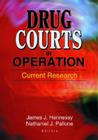 Drug Courts in Operation: Current Research Cover Image