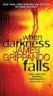 When Darkness Falls (Jack Swyteck Novel #6) By James Grippando Cover Image