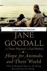 Hope for Animals and Their World: How Endangered Species Are Being Rescued from the Brink By Jane Goodall, Thane Maynard (With), Gail Hudson (With) Cover Image