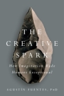 The Creative Spark: How Imagination Made Humans Exceptional By Agustín Fuentes Cover Image