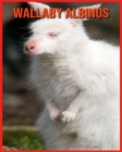 Wallaby Albinos: Images Etonnantes & Informations Amusantes Concernant les Animaux dans la Nature By Laura Musso Cover Image