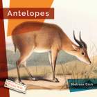 Antelopes (Living Wild) By Melissa Gish Cover Image