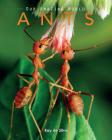 Ants: Amazing Pictures & Fun Facts on Animals in Nature By Kay De Silva Cover Image