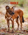 Dhole: Amazing Facts & Pictures Cover Image