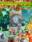 INVESTIR AU NIGÉRIA - Celso Salles: Collection Investir en Afrique Cover Image