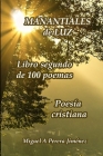 Manantiales de luz: Libro segundo de 100 poemas By Miguel Ángel Perera Jiménez Cover Image