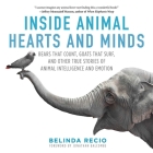 Inside Animal Hearts and Minds: Bears That Count, Goats That Surf, and Other True Stories of Animal Intelligence and Emotion By Belinda Recio, Jonathan Balcombe (Foreword by) Cover Image