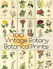 100 Vintage Botany Botanical Prints Cover Image