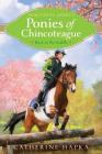 Back in the Saddle (Marguerite Henry's Ponies of Chincoteague #7) Cover Image