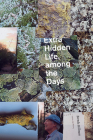 Extra Hidden Life, Among the Days Cover Image