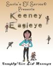 Keeney Eagleye: Naughty/Nice List Manager (Santa's Elf #4) By Joe Moore, Mary Moore (Illustrator) Cover Image