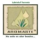 Aromaste: No solo es oler bonito... By Gabriela P. Torrente Cover Image