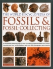 The World Encyclopedia of Fossils & Fossil-Collecting:: An Illustrated Reference Guide to Over 375 Plant and Animal Fossils from Around the Globe and By Steve Parker Cover Image