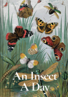 An Insect a Day Cover Image