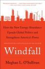 Windfall: How the New Energy Abundance Upends Global Politics and Strengthens America's Power Cover Image