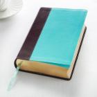 KJV Giant Print Lux-Leather Teal/Brown  Cover Image