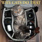 Why Cats Do That 2024 12 X 12 Wall Calendar By Willow Creek Press Cover Image