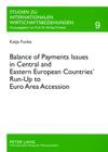 Balance of Payments Issues in Central and Eastern European Countries' Run-Up to Euro Area Accession (Studien Zu Internationalen Wirtschaftsbeziehungen #9) By Michael Frenkel (Editor), Katja Funke Cover Image