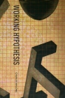 Working Hypothesis Cover Image