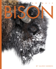 Bison (Amazing Animals) By Valerie Bodden Cover Image